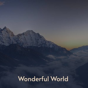Dengarkan Wonderful World lagu dari Sam & Dave dengan lirik