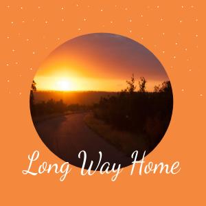 Listen to Long Way Home song with lyrics from Michael Brent Wilferd