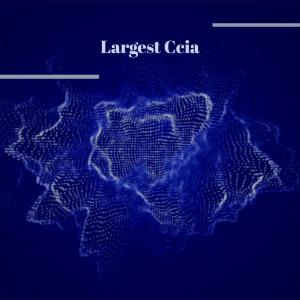 Various的专辑Largest Ccia