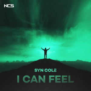 Syn Cole的專輯I Can Feel