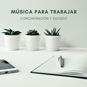 Música Para Trabajar: Concentración y Estudio