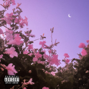 Listen to Halb Voll (Explicit) song with lyrics from neji.mp3