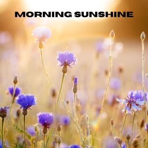 อัลบัม Morning Sunshine ศิลปิน The White Noise Zen & Meditation Sound Lab