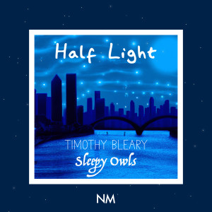 Sleepy Owls的专辑Half Light