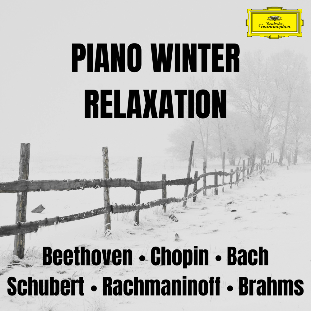 Brahms: 16 Waltzes, Op. 39: 4. In E Minor