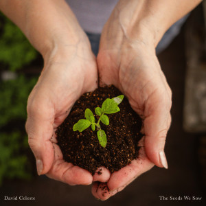 Listen to The Seeds We Sow song with lyrics from David Celeste