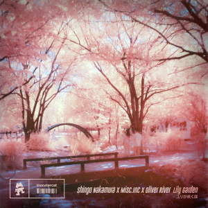 Album Lily Garden from Shingo Nakamura