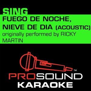 ProSound Karaoke Band的專輯Fuego De Noche, Nieve De Dia (Originally Performed by Ricky Martin) [Acoustic Instrumental Version]
