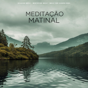 Album Meditaçāo Matinal from Music for Calming Dogs