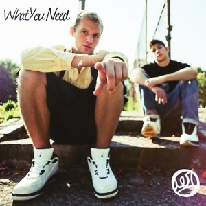 Aer的專輯What You Need EP (Explicit)