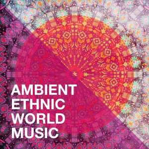 World Music Tour的专辑Ambient Ethnic World Music