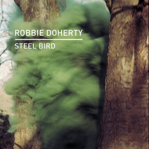 Steel Bird dari Robbie Doherty