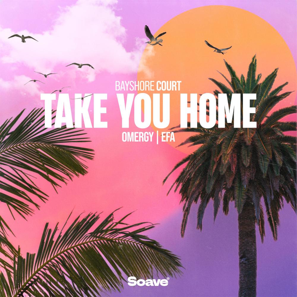 Take You Home