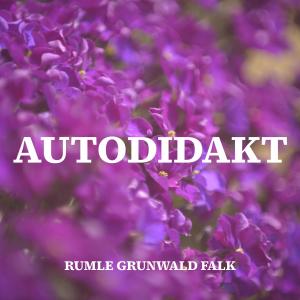 收聽Rumle的Autodidakt (Explicit)歌詞歌曲