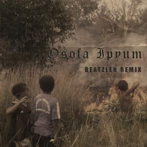 Album OSOFA IPYUM (Remix) oleh Beatzlen
