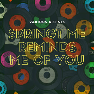 อัลบัม Springtime Reminds Me of You ศิลปิน The Jungle Band