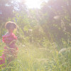 default album img
