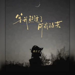 收聽魏佳藝的等我熬過了所有的苦歌詞歌曲