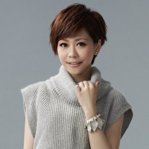 收听陈慧敏的我很好骗歌词歌曲