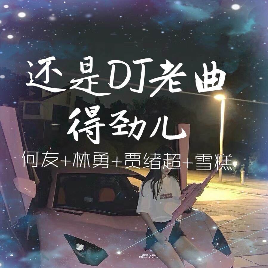 蹦迪必备狠曲 (抖音热播版)