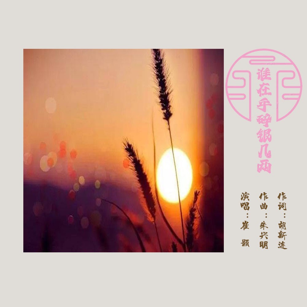 谁在乎碎银几两（DJ版） (完整版)