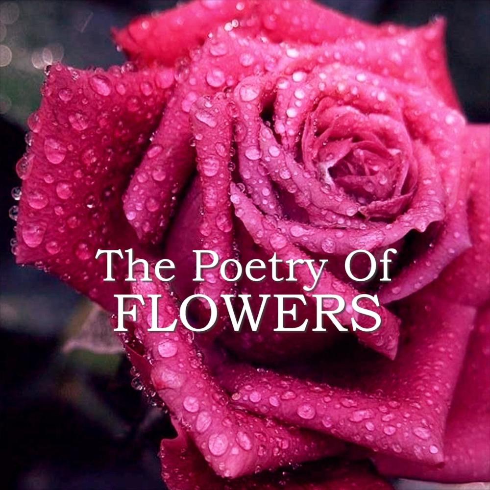 Edmund Waller - Go Lovely Rose (其他)