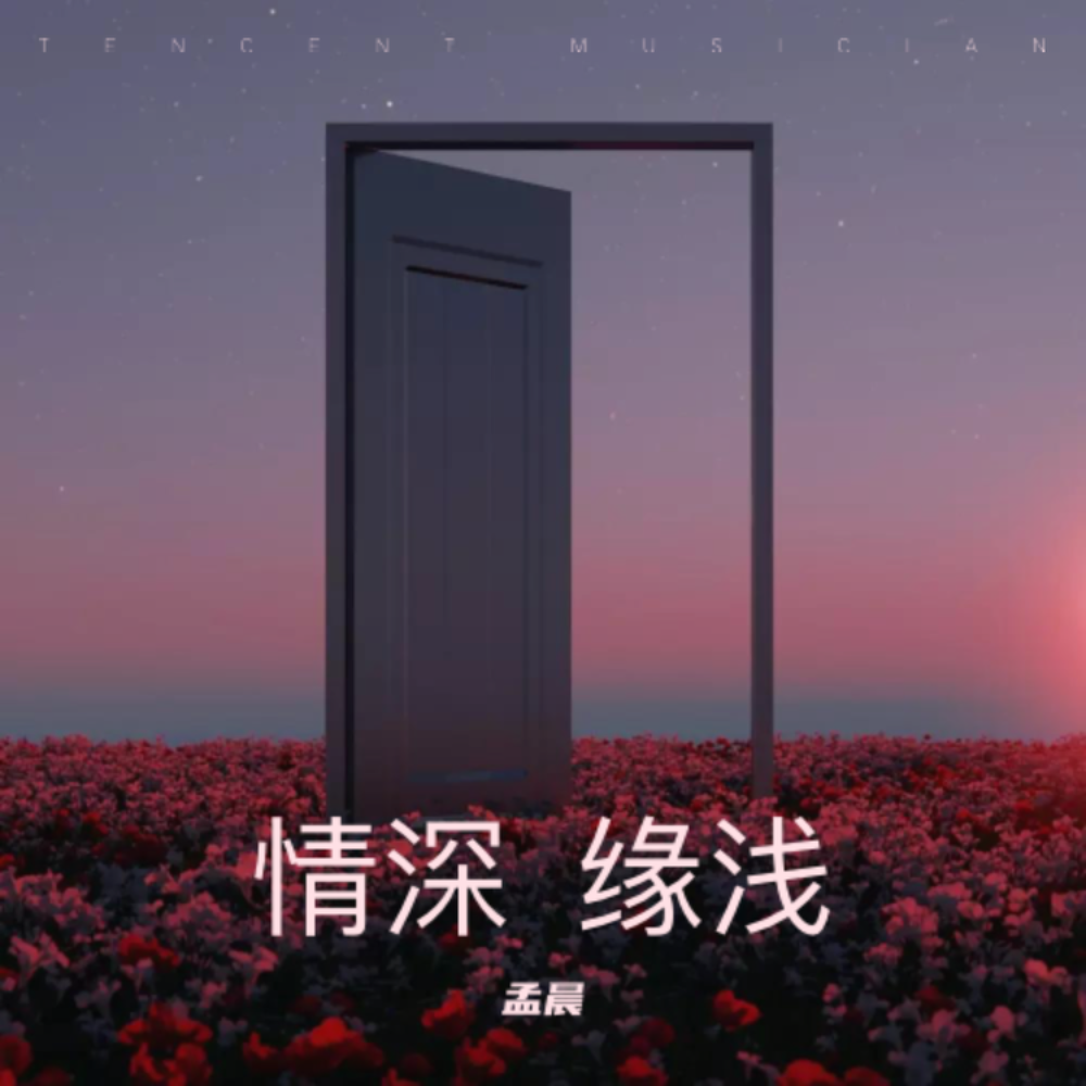 情深  缘浅 (伴奏)