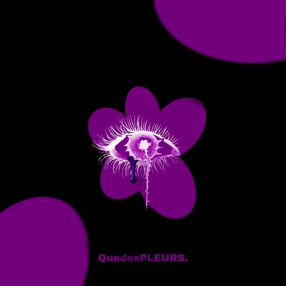 QuedesPleurs. (speed version) (Explicit)