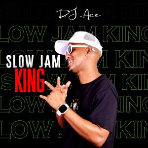 อัลบัม Slow Jam King ศิลปิน DJ Ace