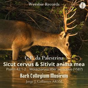 Album Sicut cervus & Sitivit anima mea from Jorge J. Collantes