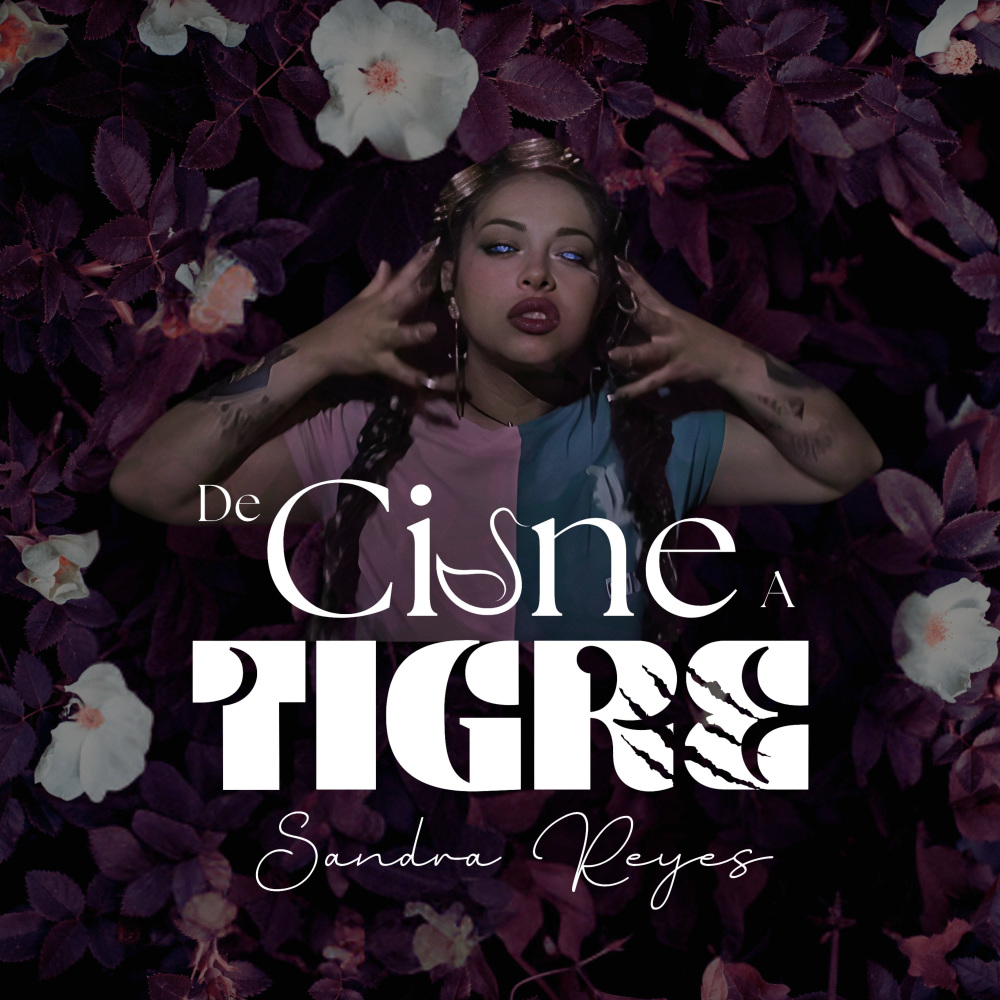 De Cisne a Tigre
