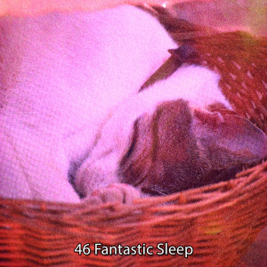 Dengarkan lagu Tranquil Home nyanyian Relaxing Music Therapy dengan lirik