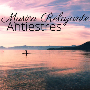 Album Musica Relajante Antiestres oleh Relaxation Sleep Meditation