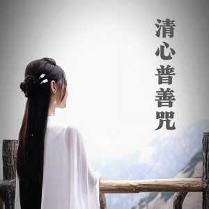 Listen to 清心普善咒 (古筝版) song with lyrics from 卓舒晨