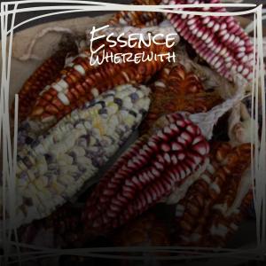 Dengarkan One Defeated lagu dari Ernis Siddh dengan lirik