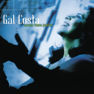 ดาวน์โหลดและฟังเพลง Por Causa De Você (Ao Vivo) พร้อมเนื้อเพลงจาก Gal Costa