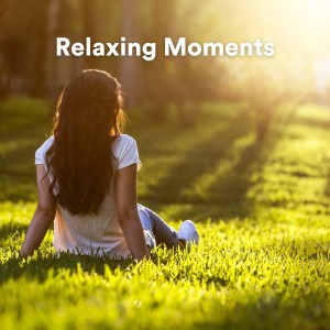 Album Relaxing Moments from Healing Therapy Music