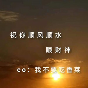 Album 顺风顺水顺财神 oleh 我不要吃香菜