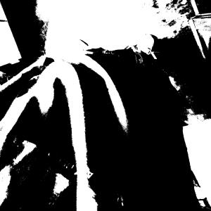 CardingFraud的專輯fall (Explicit)