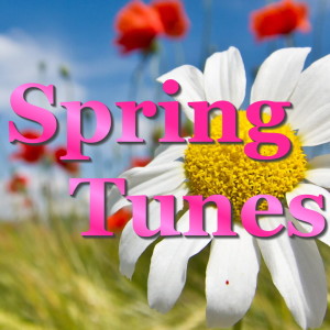 Listen to Spring, Spring, Spring (其他) song with lyrics from Howard Keel
