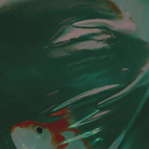 ดาวน์โหลดและฟังเพลง Answer me back (feat. jeanjinn jane) พร้อมเนื้อเพลงจาก m/n