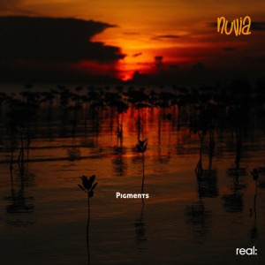 ดาวน์โหลดและฟังเพลง Pigments พร้อมเนื้อเพลงจาก Nuvia