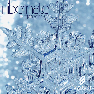 ดาวน์โหลดและฟังเพลง Frozen (Original Mix) พร้อมเนื้อเพลงจาก Hibernate