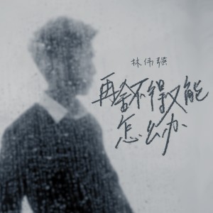 Album 再舍不得又能怎么办 from 林伟强