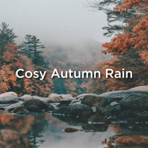 收聽Rain Sounds的Deep Sleep Rain歌詞歌曲