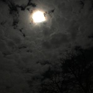 ดาวน์โหลดและฟังเพลง Wh3n W/ll |t 3nd พร้อมเนื้อเพลงจาก 0megafactor