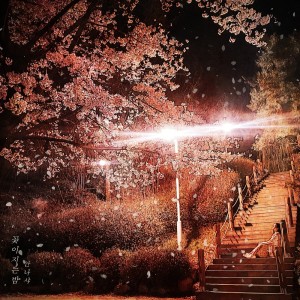 Listen to Night when petals fall song with lyrics from 안나샤