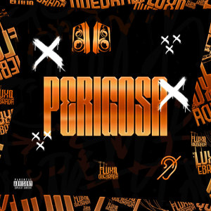 RAPHAANJOS的專輯PERIGOSA (Explicit)