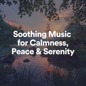 Soothing Music的专辑Soothing Music for Calmness, Peace & Serenity