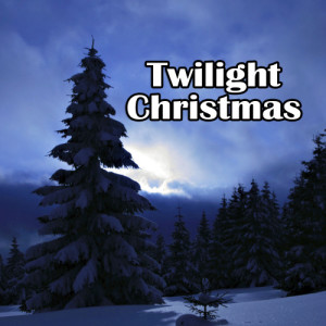 The Twilight Players的專輯Twilight Christmas